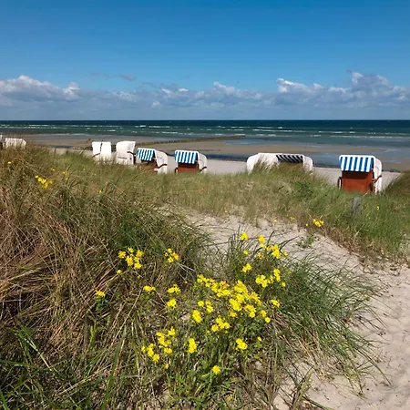 Ferienhaeuser Hohmann Fh Hohmann * Einhusen (Rostock)